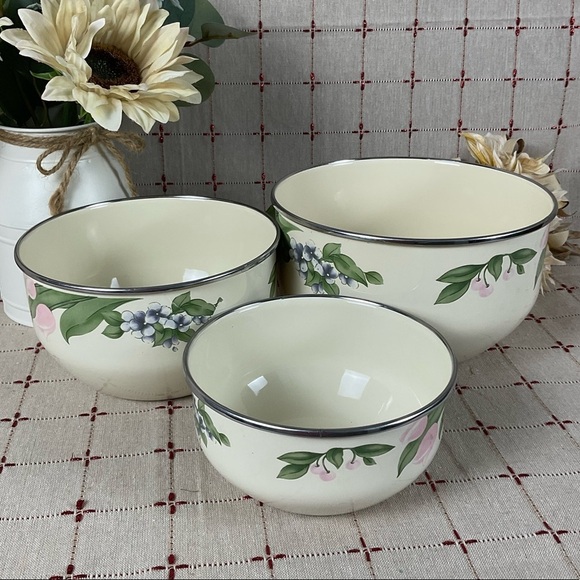 Pfaltzgraff Other - Pfaltzgraff Garden Party Enamel & Metal Mixing Bowls Set of 3 Garden Impressions